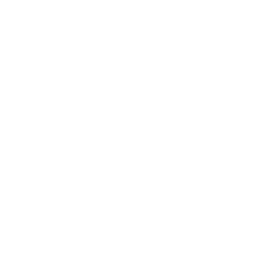 Select Weapon