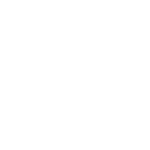 Boomerang Bullet