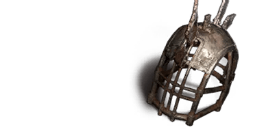 Cage Helmet